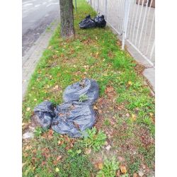 Zdjęcie trawnika na którym leżą worki śmieci