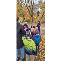 Program profilaktyczny