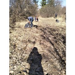 Osadzeni sprzątający teren zielony