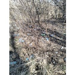 Zaśmiecony teren zielony